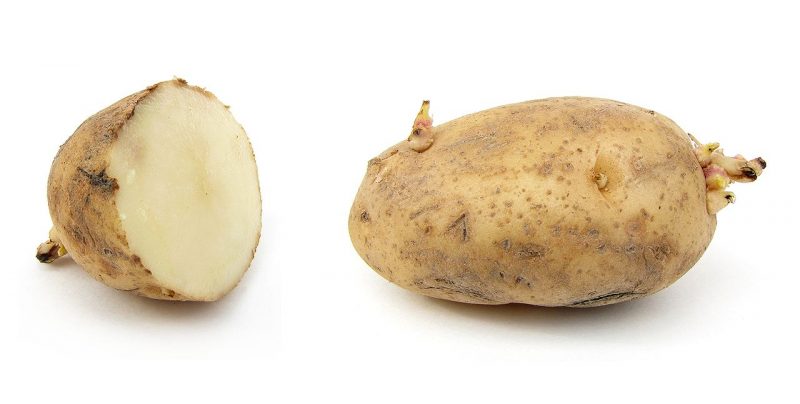 Russet potatoes