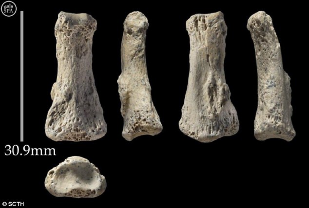 the Middle East’s oldest human bone