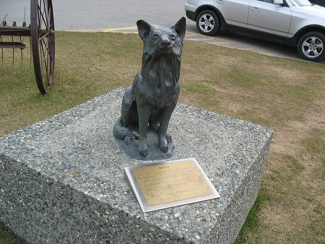 balto-statue-palmer-image-by-teofilo-flickr-cc-by-2-0