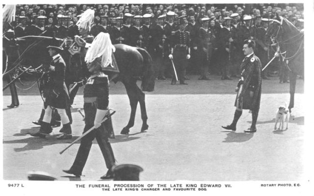 Edward_VII_Funeral_Charger_and_Caesar