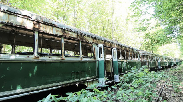 Long Line of Trolleys.