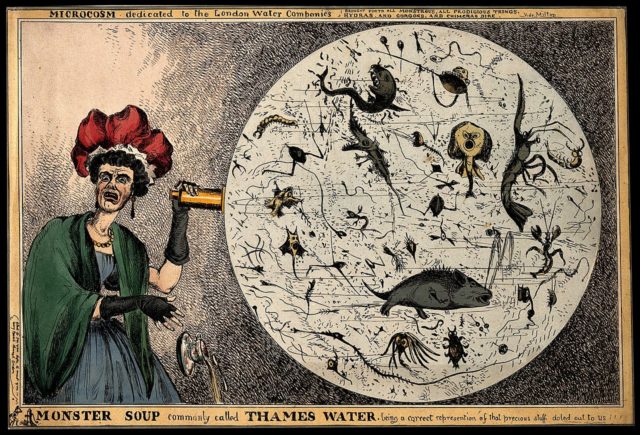 Monster_Soup_commonly_called_Thames_Water._Wellcome_V0011218