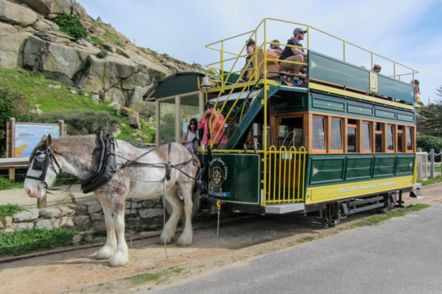 No passenger service was offered until 1894. Photo Credit