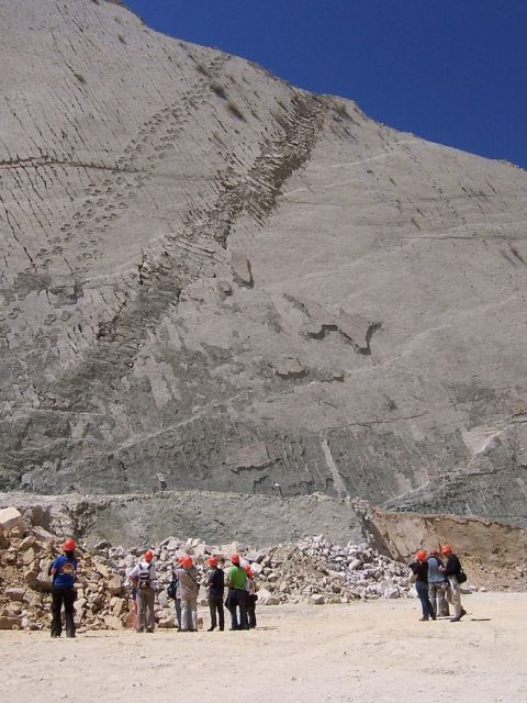 Sauropodomorpha footprints in Cal Orcko (which means “lime Hill” in the local Quechua language). Author: Jerry Daykin – CC-BY 2.0