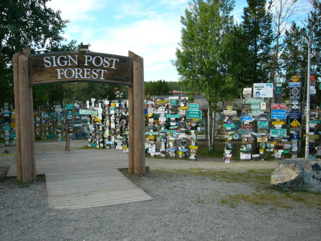 The Signpost Forest: A massive, one-of-a-kind collection of relocated ...