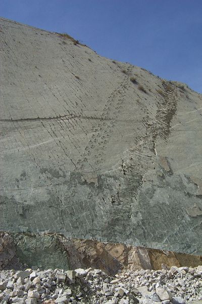 The dinosaur tracks date from 68 million years ago. It is one of Bolivia’s most unique attractions. drawing 120,000 visitors each year. Author: Mhwater – CC BY-SA 2.0