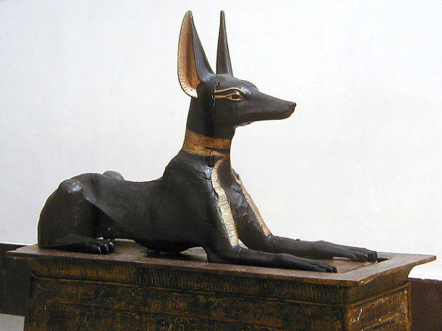 The statue of Anubis figure which guarded the entrance to Tutankhamun's treasury room. By Jon Bodsworth - http://www.egyptarchive.co.uk/html/cairo_museum_50.html, Copyrighted free use, https://commons.wikimedia.org/w/index.php?curid=3803712