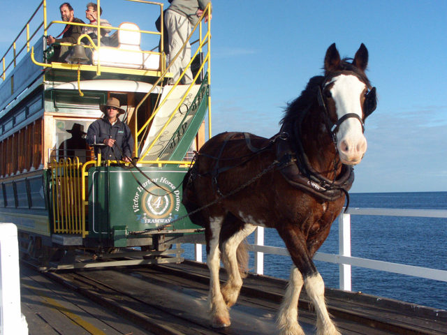 Tramcar on the causeway. Photo Credit