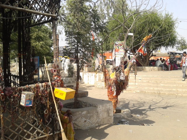 The tree that caused Om Banna's death remains ornamented with offering of bangles, scarves,etc.