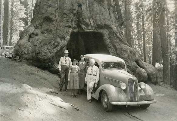 The Wawona Tree’s tunnel, September, 1962