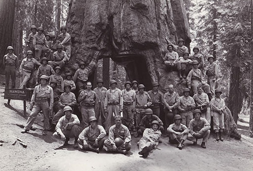 A group of servicemen, 1943