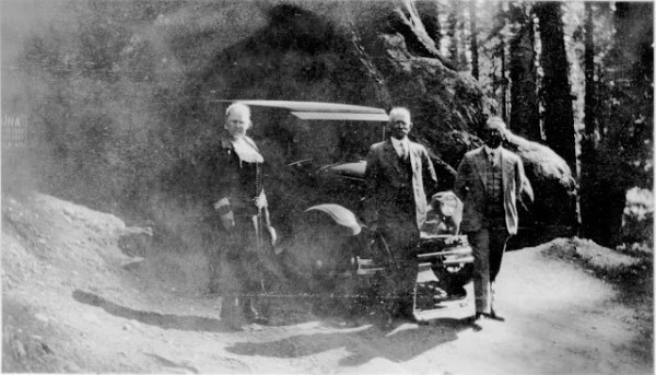 The Wawona Tree, ca. 1920s