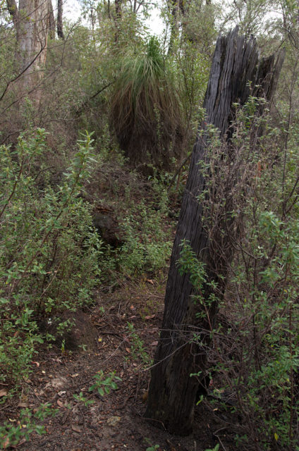 Remnants of the fence & well built by Moondyne Joe. Photo Credit