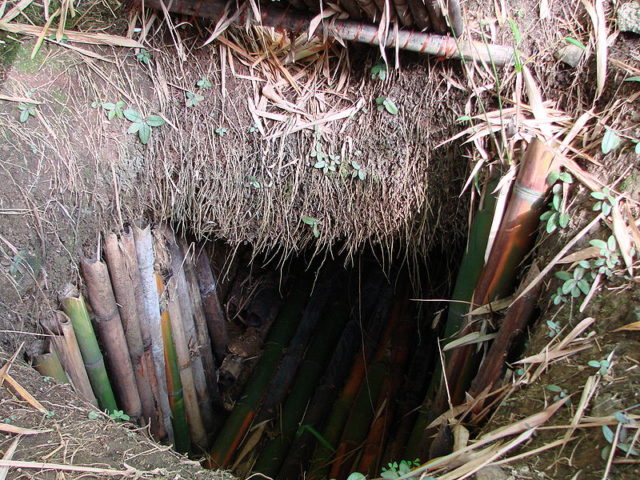 Visitors to Guam can take a short ropeway ride to "Yokoi's Cave", a tourist attraction/monument to Yokoi's life located on the site of the original cave at Talofofo Falls Resort Park. The original cave was destroyed in a typhoon.