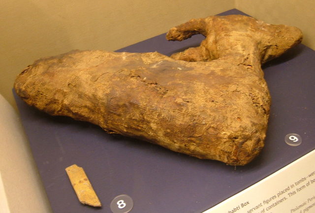 A mummy of an elderly gazelle, 22nd dynasty, and a fragment of a coffin, 26th dynasty. On display at the Rosicrucian Egyptian Museum in San Jose, California. RC 1570, 581