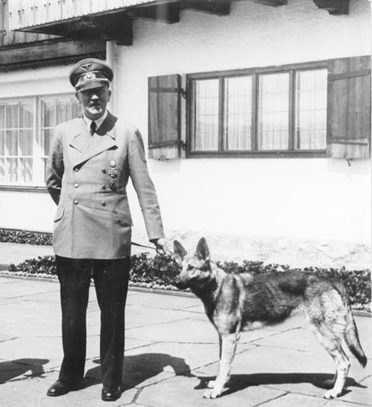 Adolf Hitler with Blondi at the Berghof. Photo Credit