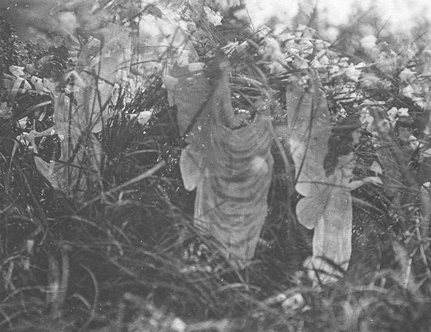 The fifth and last photograph of the Cottingley Fairies - Fairies and Their Sun-Bath. photo credit