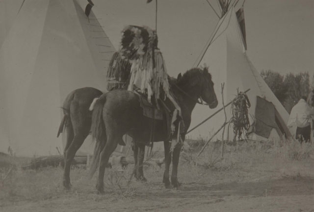 Crow on horseback