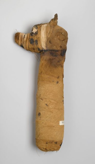 Dog Mummy, 305 B.C.E.-395 C.E.,05.308, Brooklyn Museum
