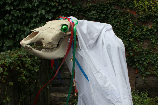 mari_lwyd_wiki