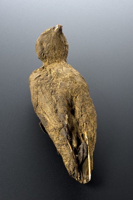 This mummy is a bird, about the size of a thrush. Some of the beak and wings can be seen through the cloth wrappings. maker: Unknown maker Place made: Egypt 
