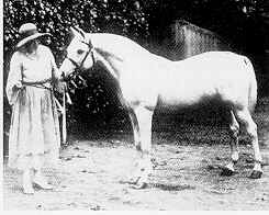 Lady Wentworth and her prized Arabian stallion, Skowronek. Photo Credit