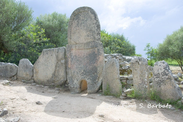 So far about 320 tombs ahve been found. Photo Credit