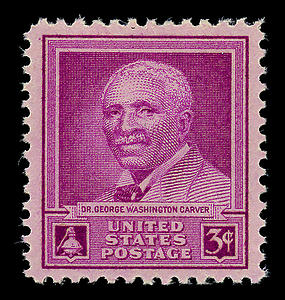 US Postage stamp Dr. George Washington Carver (1864-1943) was honored by a 3-cent red violet stamp issued on January 5, 1948 