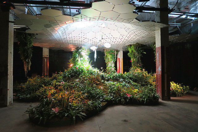 The Lowline Lab - designed to test and showcase how the Lowline will grow and sustain plants underground. Photo Credit