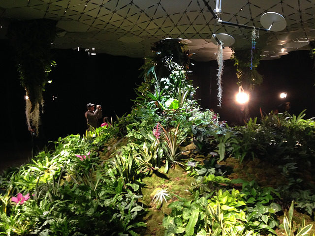 The Lowline Lab was opened in October 2015 as a working prototype to determine the long-term feasibility of the Delancey Underground project. Photo Credit