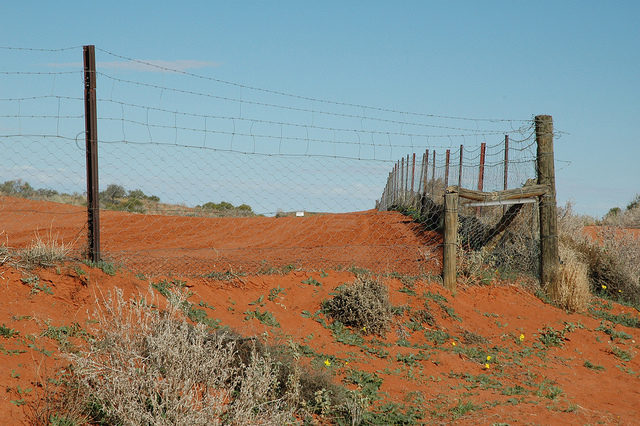 The fence is still actively maintained. Photo Credit