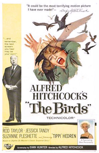 Theatrical poster for the film The Birds (1963)
