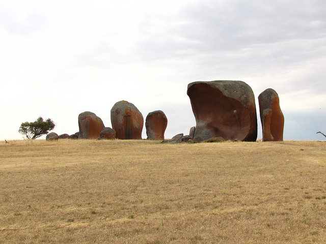 They are just off the Flinders Hwy between Port Kenny and Streaky Bay on the Eyre Peninsula. Photo Credit