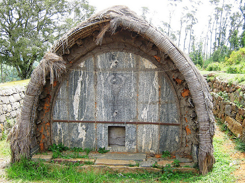 Toda dogles in Nilgiris. Photo Credit