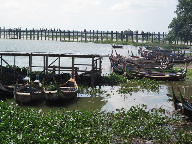 Traditional boats. Photo Credit