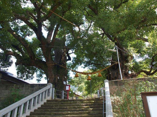 hundreds of trees that are still standing today were actually around the vicinity when the bomb went off. Photo Credit