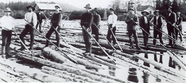 Once wood had been scaled at the camp, it was moved to the river landing to await the thawing of the river. In the spring, logs were driven down the river to the “booms” or mills for sorting. Photo Credit