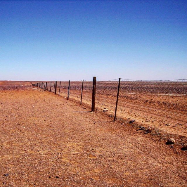 the world’s longest fence, has split Australia in two for the past 130 years. Photo Credit
