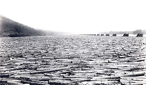The vast scale of logging. Floating logs down a river worked well for the most desirable pine timber, because it floated well. But hardwoods were more dense, and didn’t float well enough to be easily driven, and some pines weren’t near drivable streams. Log driving became increasingly unnecessary with the development of railroads and the use of trucks on logging roads. However, the practice survived in some remote locations where such infrastructure did not exist. Most log driving in the United States and Canada ended with changes in environmental legislation in the 1970s. Some places, like the Catalonian Pyrenees, still retain the practice as a popular holiday celebration once a year.