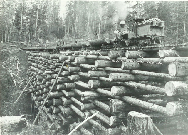 Trestle accross McBride Creek just north of Columbia City