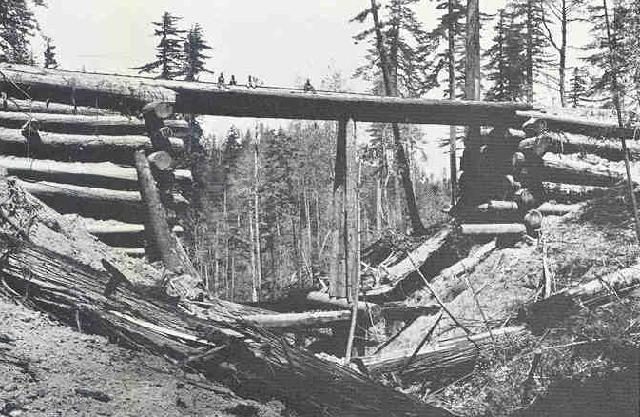 A home-made log bridge. The men sitting atop it give an idea of its height, and the diameter of the redwood logs used for construction Company photo – date unknown