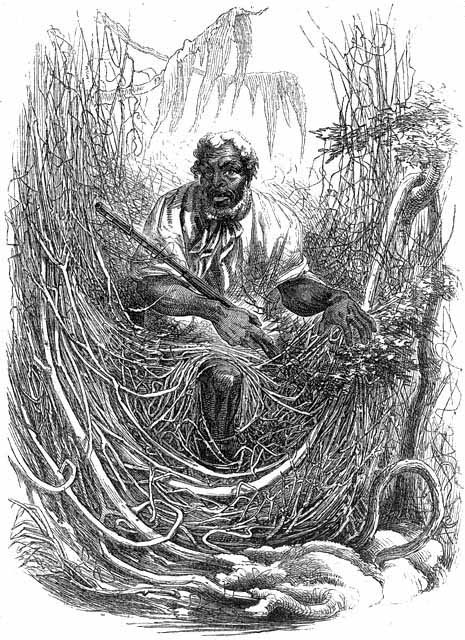 Osman, a Great Dismal Swamp Maroon, by David Hunter Strother, 1856