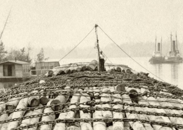 Log Raft, Lower Columbia River – c. 1900