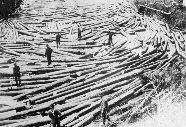 Photograph showing seven men standing on logs in a river during a log drive. 