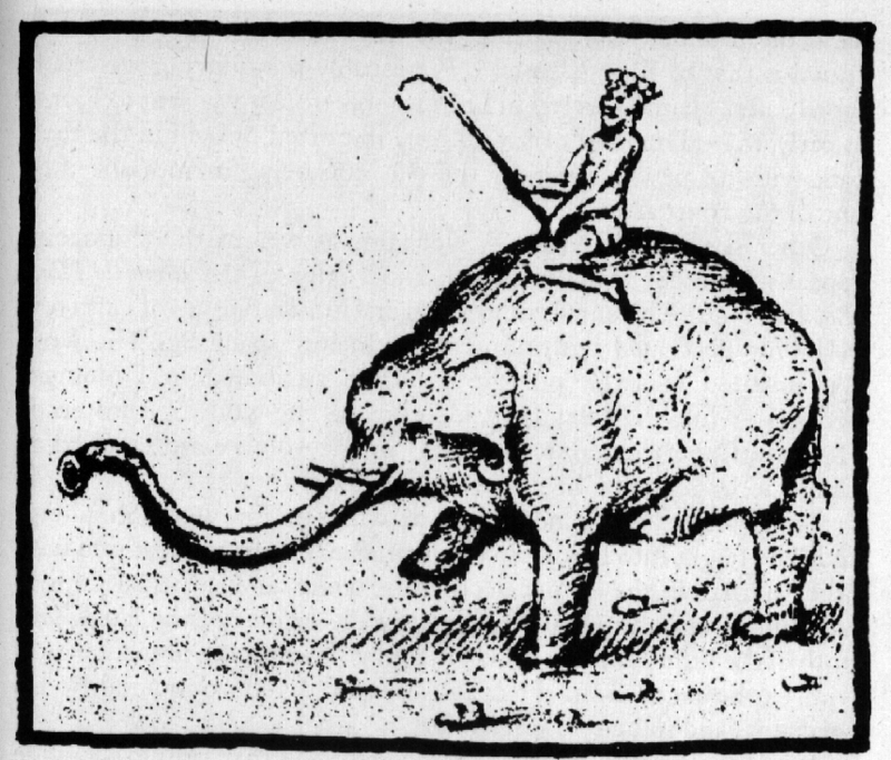Sketch of Hanno, the elephant offered to the Pope by Manuel I of Portugal, from title page of Leitura Nova.