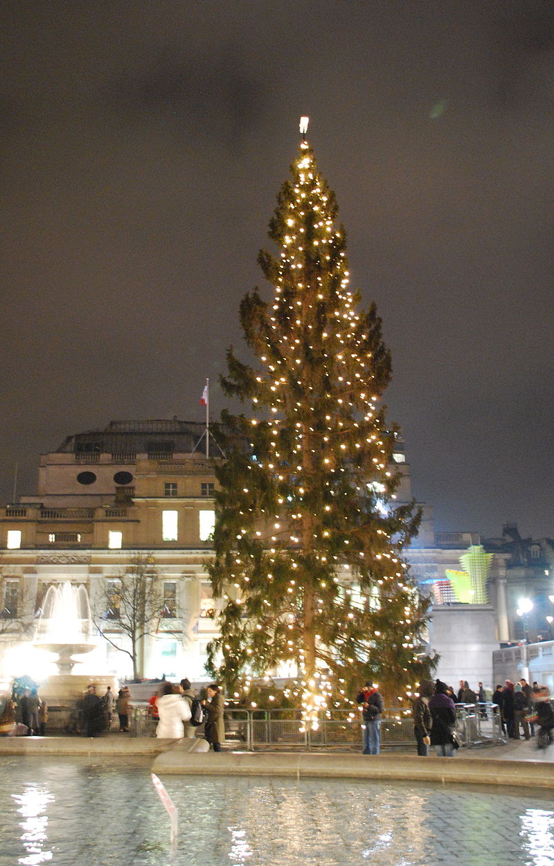 The Trafalgar Square Christmas tree in 2008. Photo Credit
