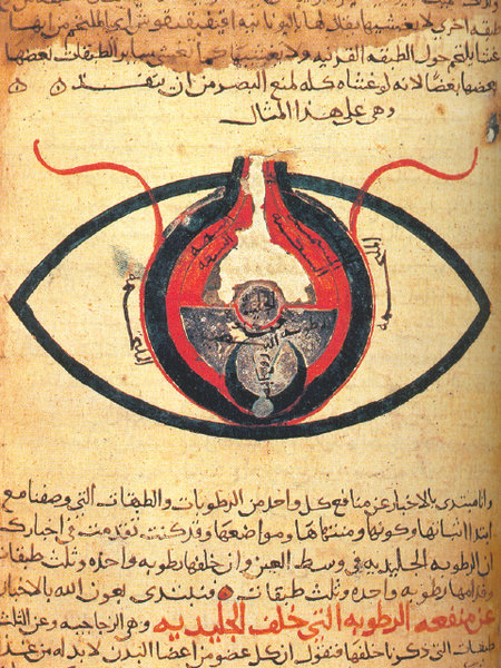 Manuscript of eye anatomy, written by Ben Yitzhak, taken from his book on issues in the eye.