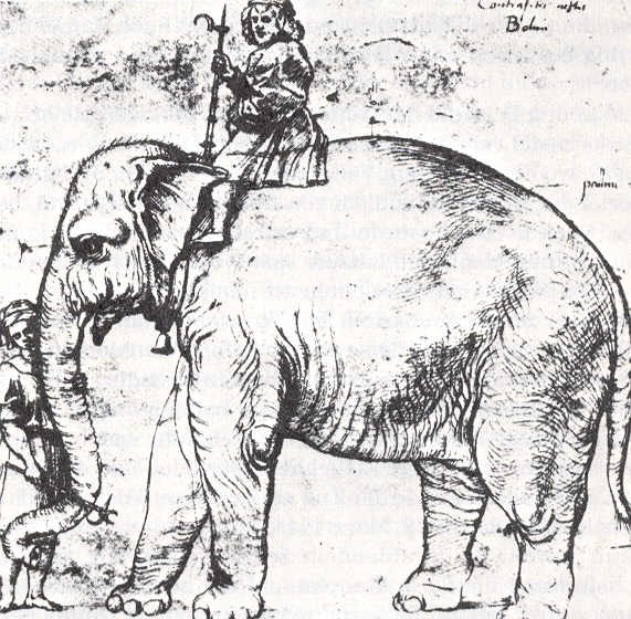 Sketch of Hanno and mahout, after Raphael, c.1514.