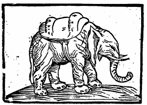 Woodcut of Hanno on pamphlet by Philomathes (Rome, c. 1514)