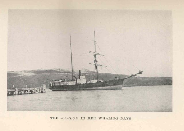 Karluk in Her Whaling Days.